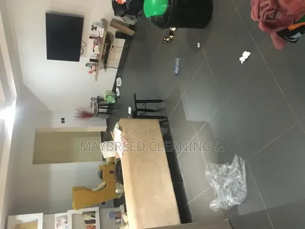 House Cleaning Service From the Professionals