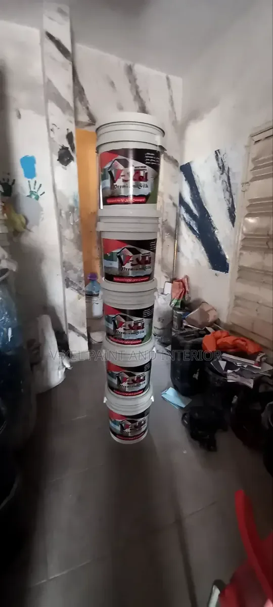 V-Xel Paint and Designs