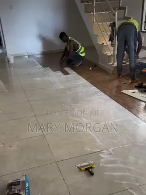 Mary Morgan cover
