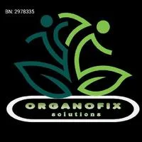 ORGANOFIX SOLUTIONS NIG. ENT